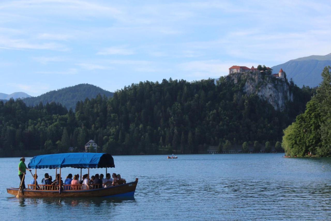 Homestead Zatrnik Near Bled Exteriér fotografie