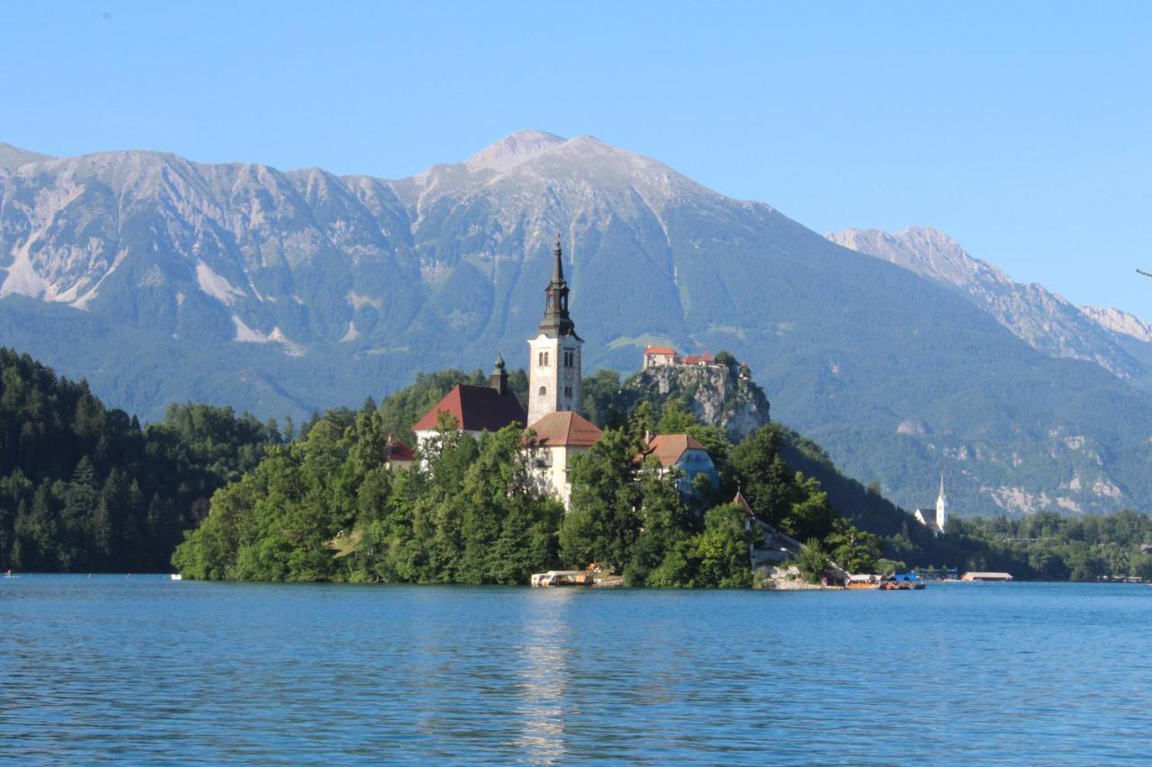 Homestead Zatrnik Near Bled Exteriér fotografie